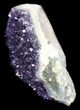 Dark Purple Amethyst Cut Base Cluster - Uruguay #36499-2